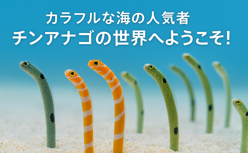 チンアナゴは家庭で飼える？かわいいけど実はちょっと難しい生き物